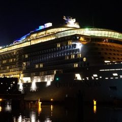 Ovation of The Seas